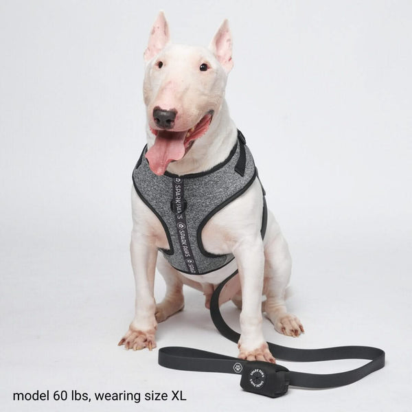 Laisse pour chien en PVC imperméable - Noir