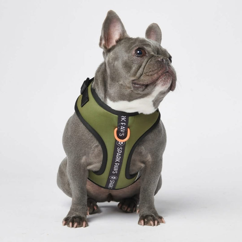 Harnais pour chien Yogawear - Vert