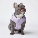 Harnais pour chien Yogawear - Lilas