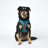 Harnais pour chien Yogawear - Bleu