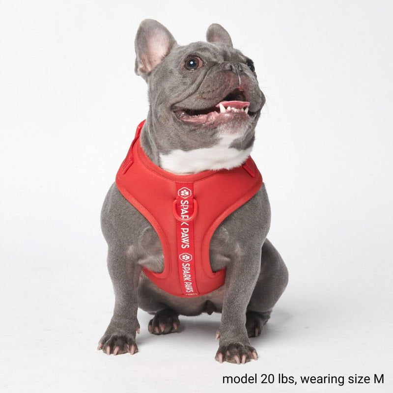 Harnais pour chien Yogawear - Rouge