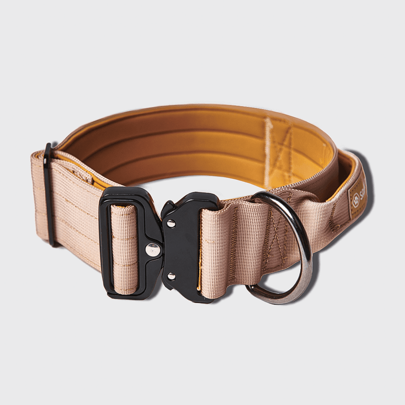 Collier tactique pour chien - Beige (2"/5cm)