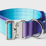 Collier tactique pour chien - Multi-couleur (1.5"/4cm)