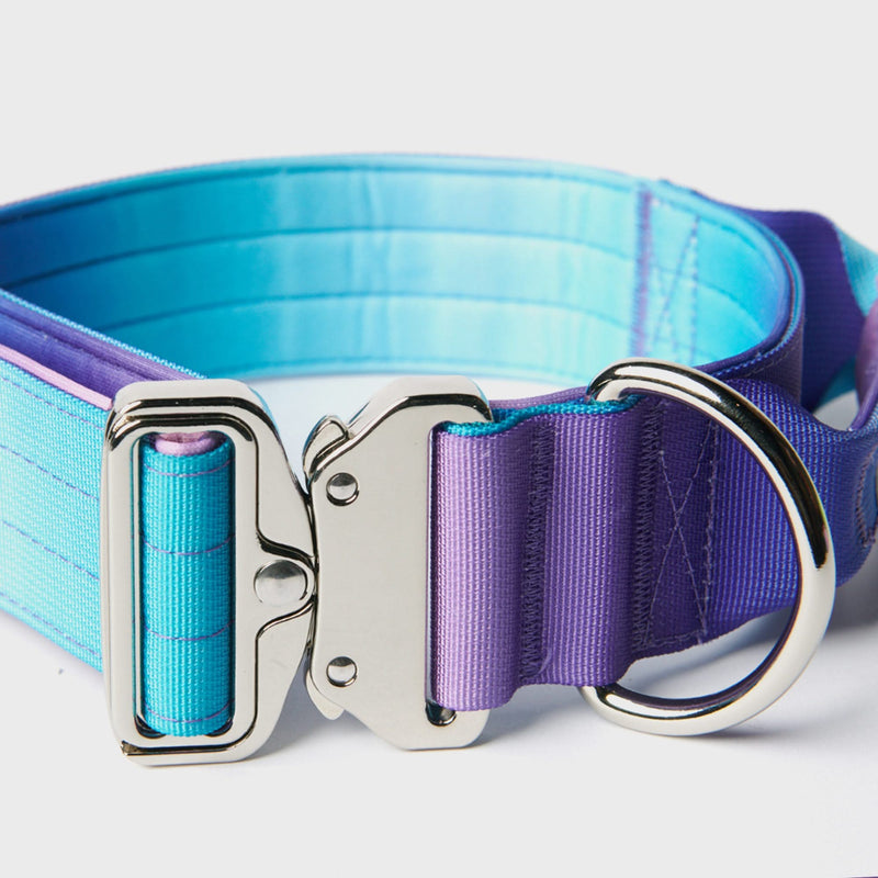 Collier tactique pour chien - Multi-couleur (1.5"/4cm)