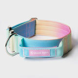 Ensemble de colliers tactiques pour chien - Glaçage pastel