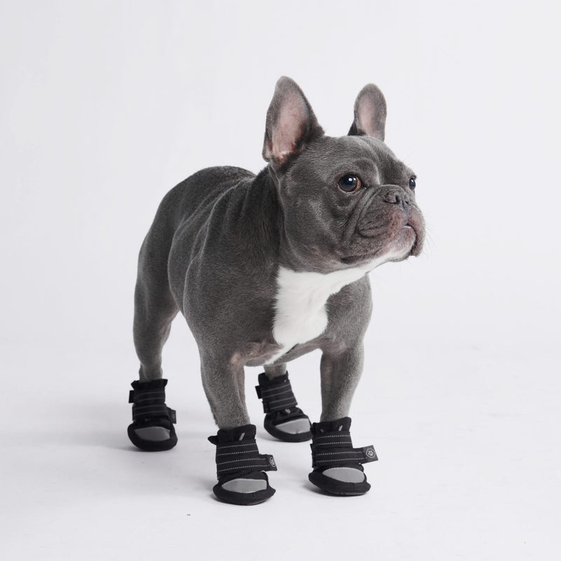Chaussure pour chien réfléchissante et résistante à l'eau