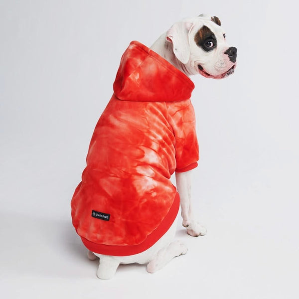 Pull à Capuche en velours Pour Chien - Rouge Rubis