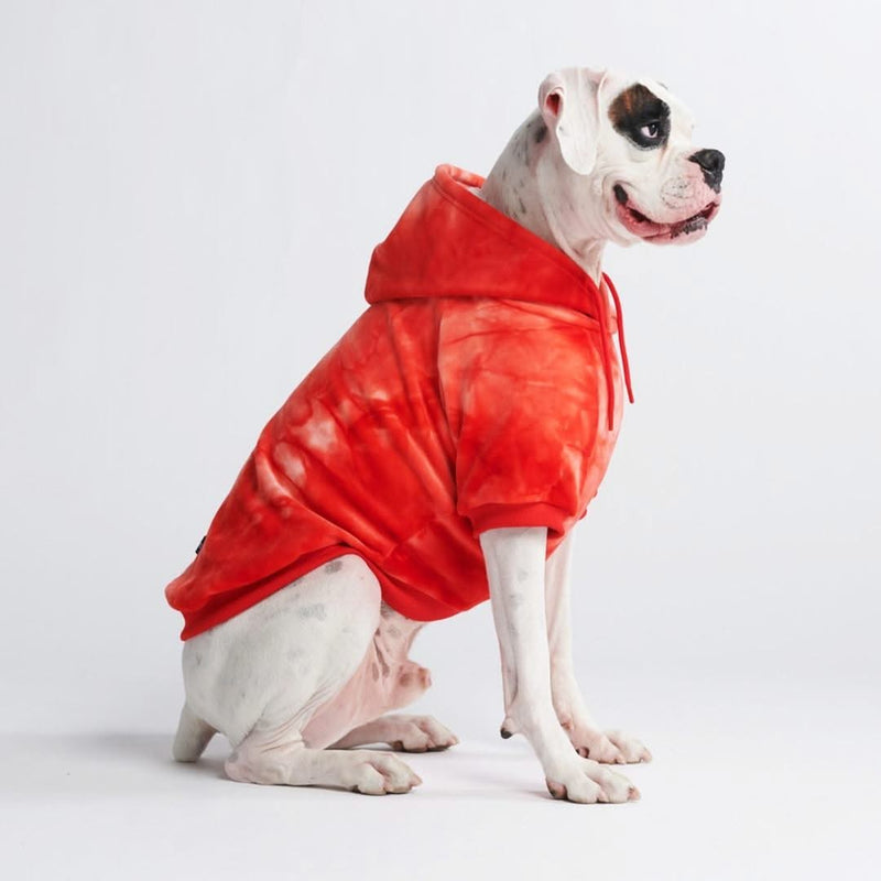 Pull à Capuche en velours Pour Chien - Rouge Rubis