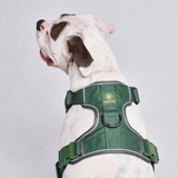 Comfort Control Harness - Green - [SIZE S] dogs up to 20kg/45lb