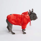 Pull à Capuche en velours Pour Chien - Rouge Rubis