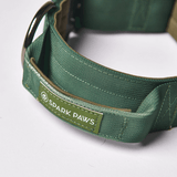 Collier tactique pour chien - Vert armée (2"/5cm)