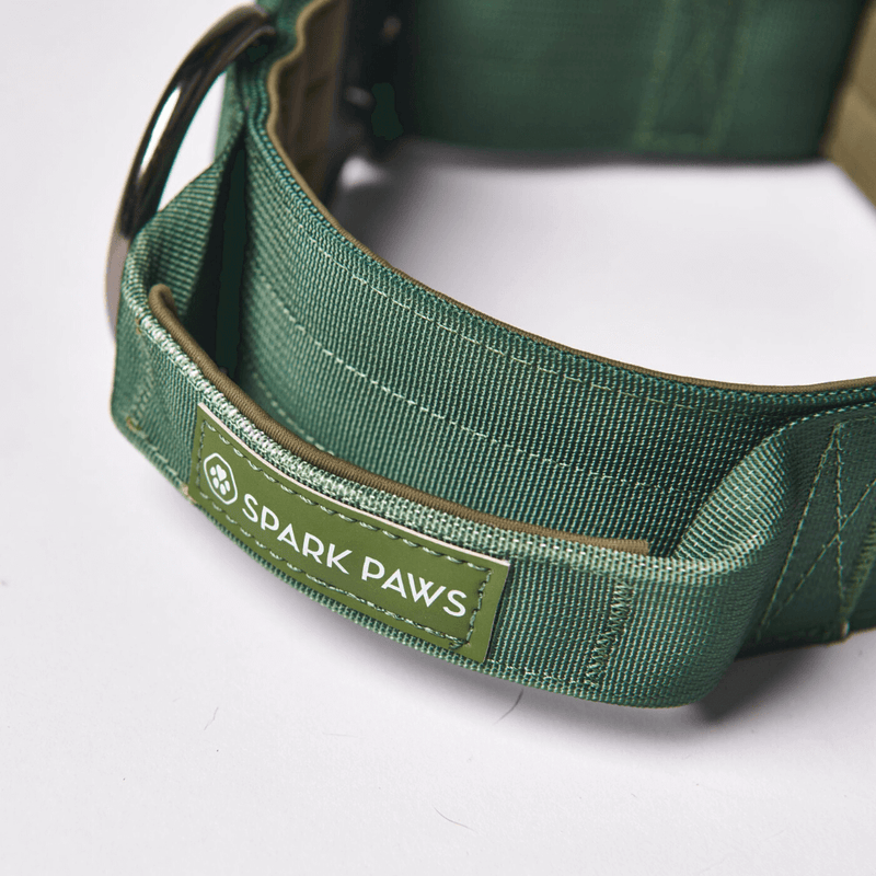 Collier tactique pour chien - Vert armée