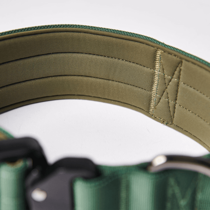 Collier tactique pour chien - Vert armée (2"/5cm)