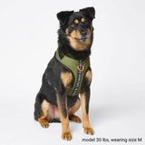 Harnais pour chien Yogawear - Vert