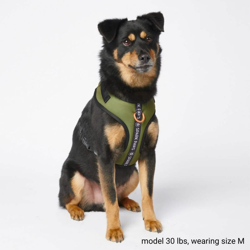 Harnais pour chien Yogawear - Vert – SPARK PAWS