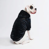 Pull à Capuche en velours Pour Chien - Noir Obsidienne