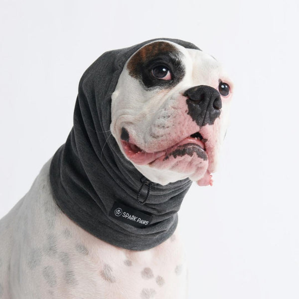 Chapeau d'hiver en tricot pour chiens 