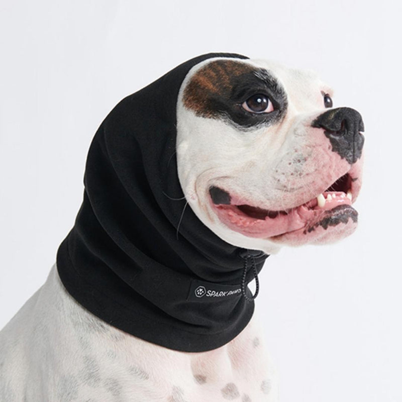 Chapeau d'hiver en tricot pour chiens 