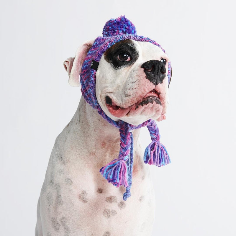 Chapeau d'hiver en tricot pour chiens