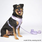 Ensemble de harnais pour chien Yogawear - Lilac