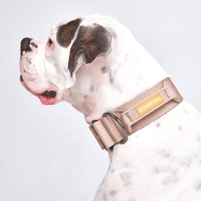 Collier tactique pour chien - Beige (2"/5cm)