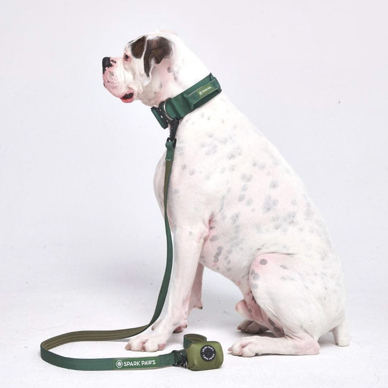 Ensemble de colliers tactiques pour chien - Vert armée