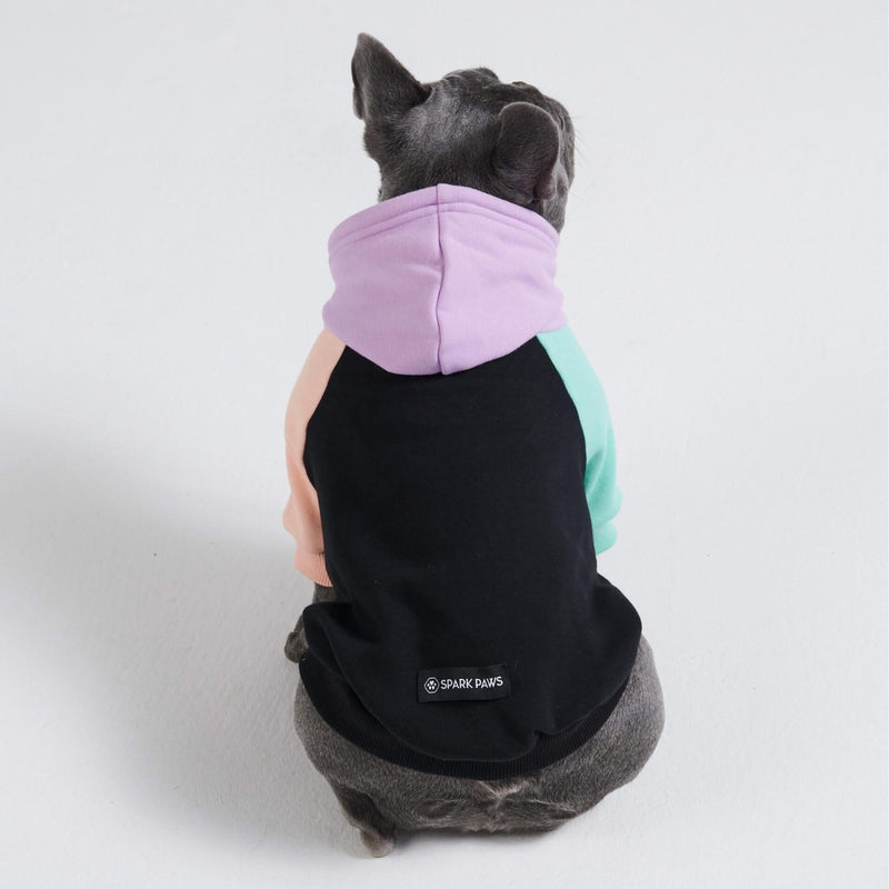 Pull à Capuche Pour Chien - Cyberpunk