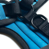 Harnais pour chien Yogawear - Bleu