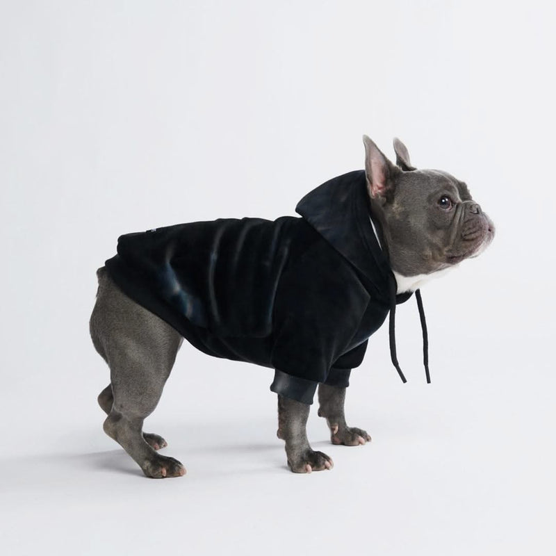 Pull à Capuche en velours Pour Chien - Noir Obsidienne