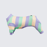 Pyjama pour chien - violet vert jaune