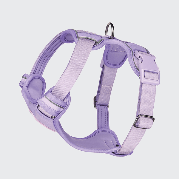 Comfort Control Harness - Lilac - [SIZE S] dogs up to 20kg/45lb