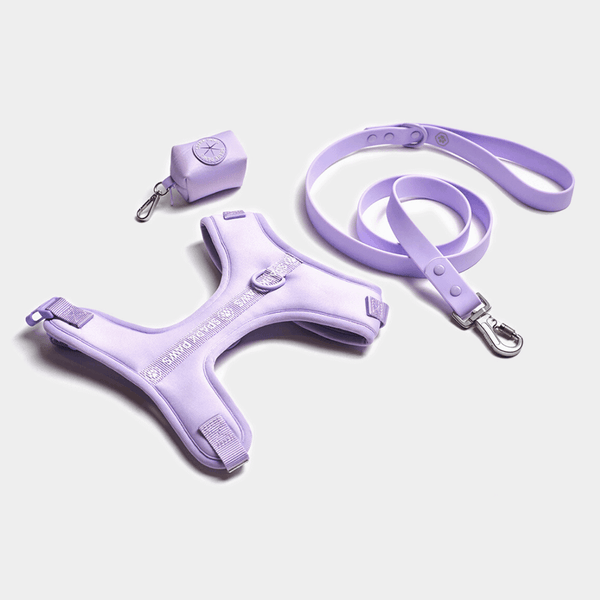 Ensemble de harnais pour chien Yogawear - Lilac