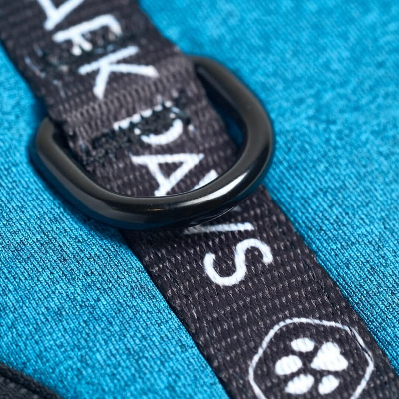 Harnais pour chien Yogawear - Bleu