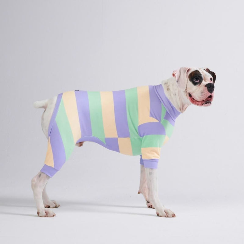 Pyjama pour chien - violet vert jaune