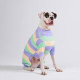 Pyjama pour chien - violet vert jaune