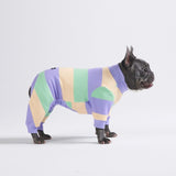Pyjama pour chien - violet vert jaune