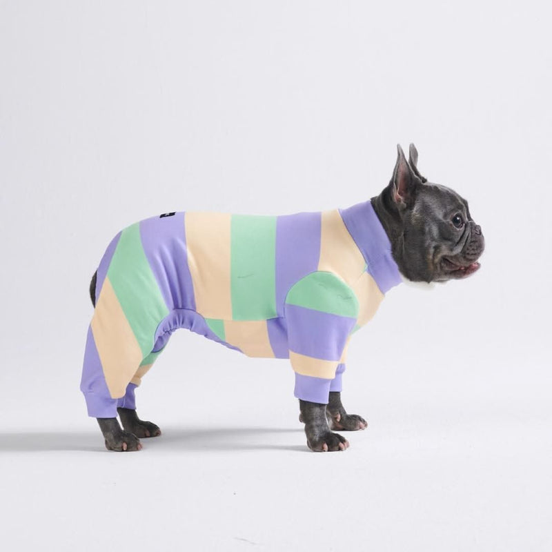 Pyjama pour chien - violet vert jaune