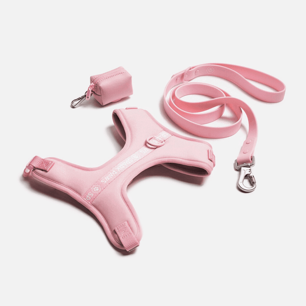 Ensemble de harnais pour chien Yogawear - Rose