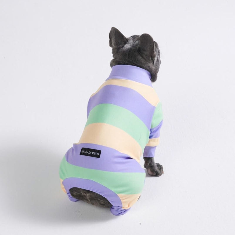 Pyjama pour chien - violet vert jaune