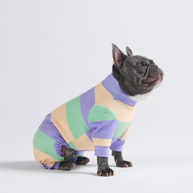 Pyjama pour chien - violet vert jaune