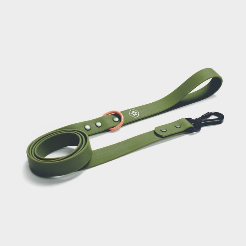 Laisse pour chien en PVC imperméable - Vert