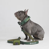 Ensemble de colliers tactiques pour chien - Vert armée (1.5"/4cm)