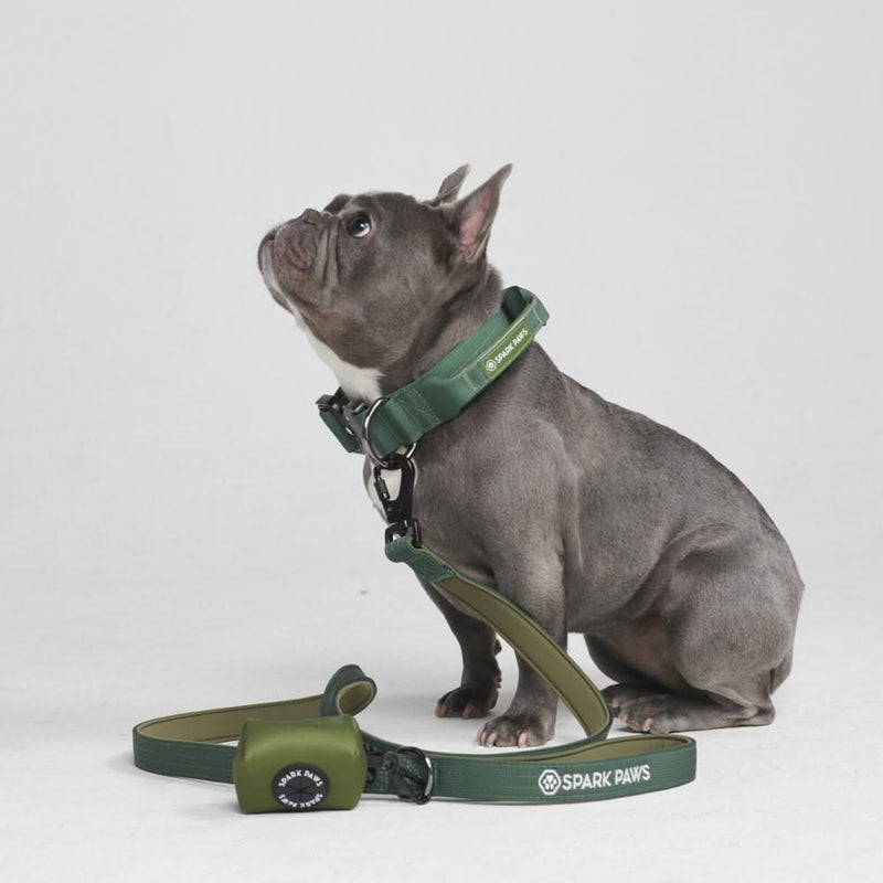 Ensemble de colliers tactiques pour chien - Vert armée (1.5"/4cm)