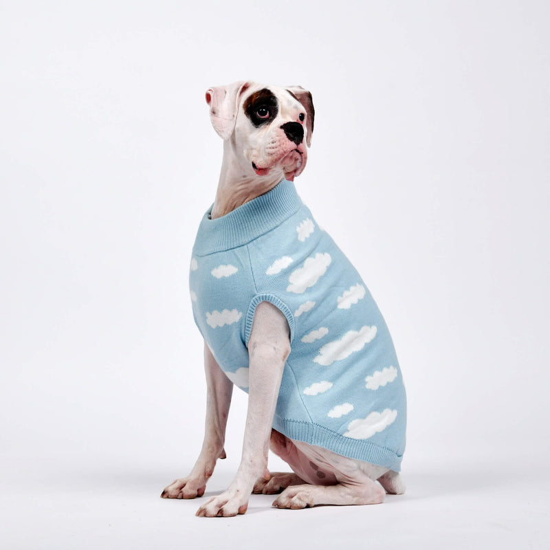 Pull pour chien en tricot nuages ​​- Bleu