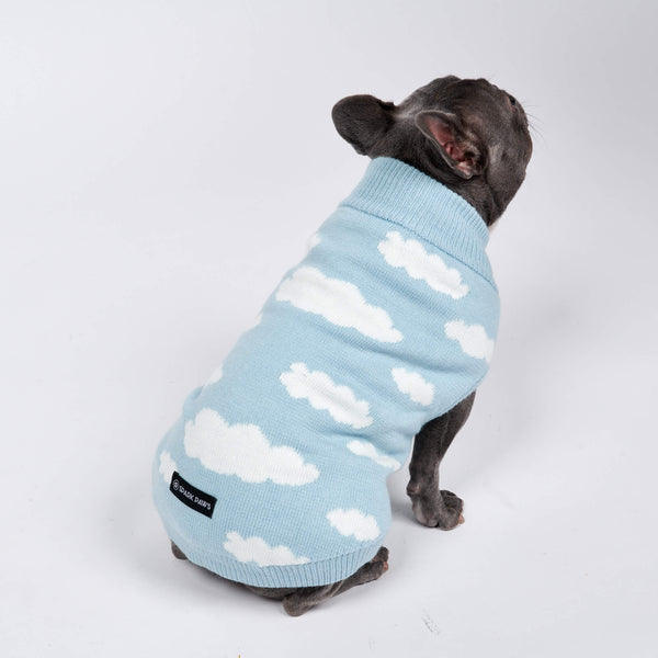 Pull en tricot pour chien - Bleu