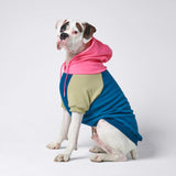 Pull à Capuche Pour Chien - Récréation