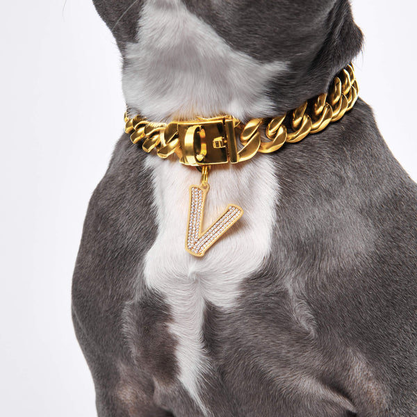 Lettre initiale bijoux plaques d'identification pour chiens - V