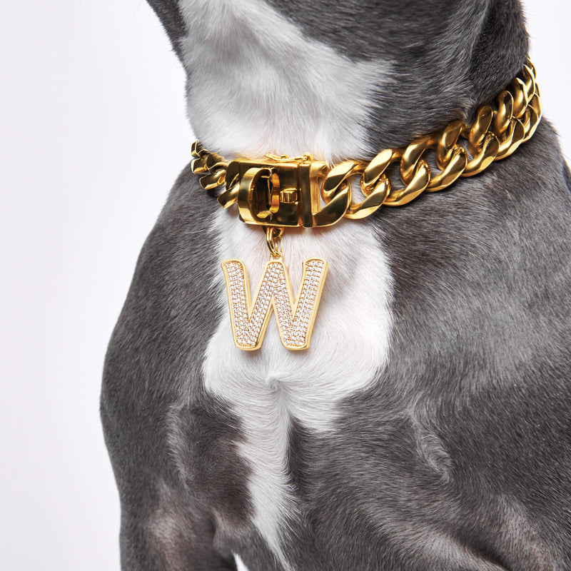 Lettre initiale bijoux plaques d'identification pour chiens - W