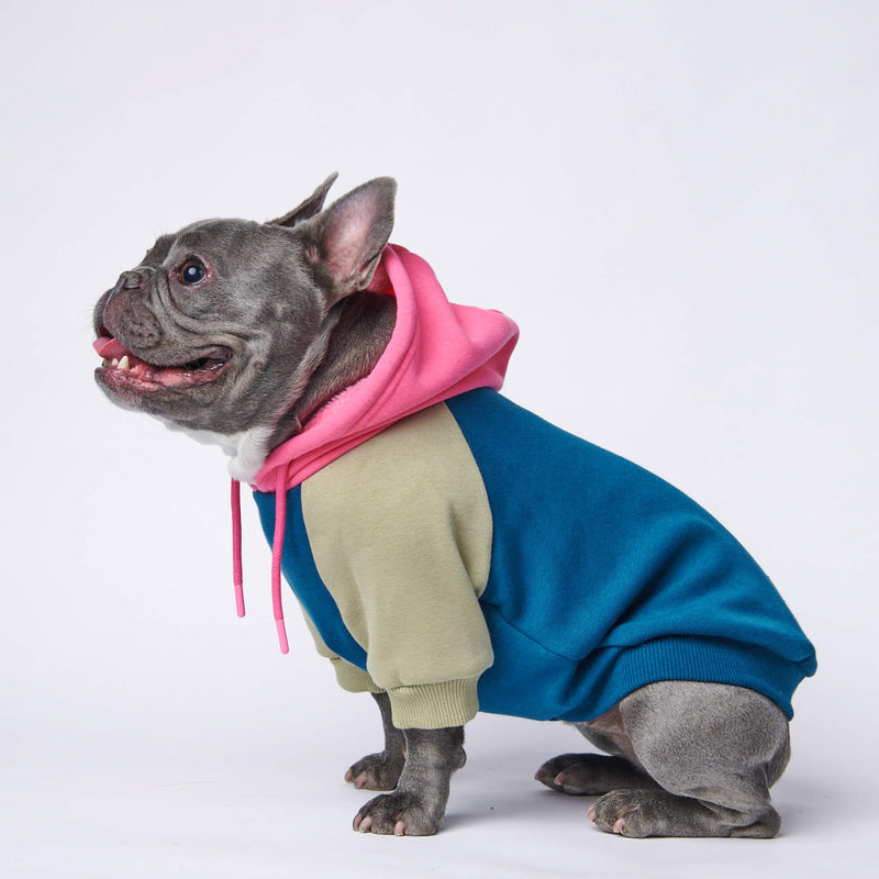 Pull à Capuche Pour Chien - Récréation