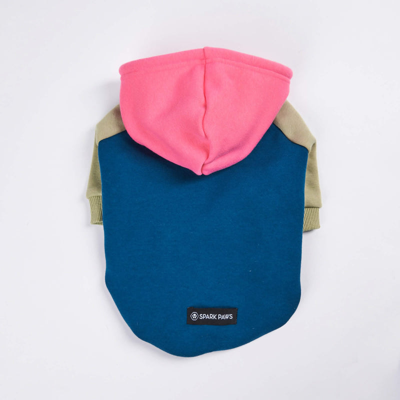 Pull à Capuche Pour Chien - Récréation